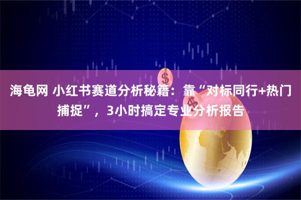 海龟网 小红书赛道分析秘籍：靠“对标同行+热门捕捉”，3小时搞定专业分析报告