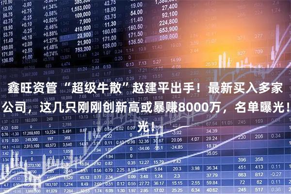鑫旺资管 “超级牛散”赵建平出手！最新买入多家公司，这几只刚刚创新高或暴赚8000万，名单曝光！