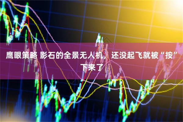 鹰眼策略 影石的全景无人机，还没起飞就被“按”下来了